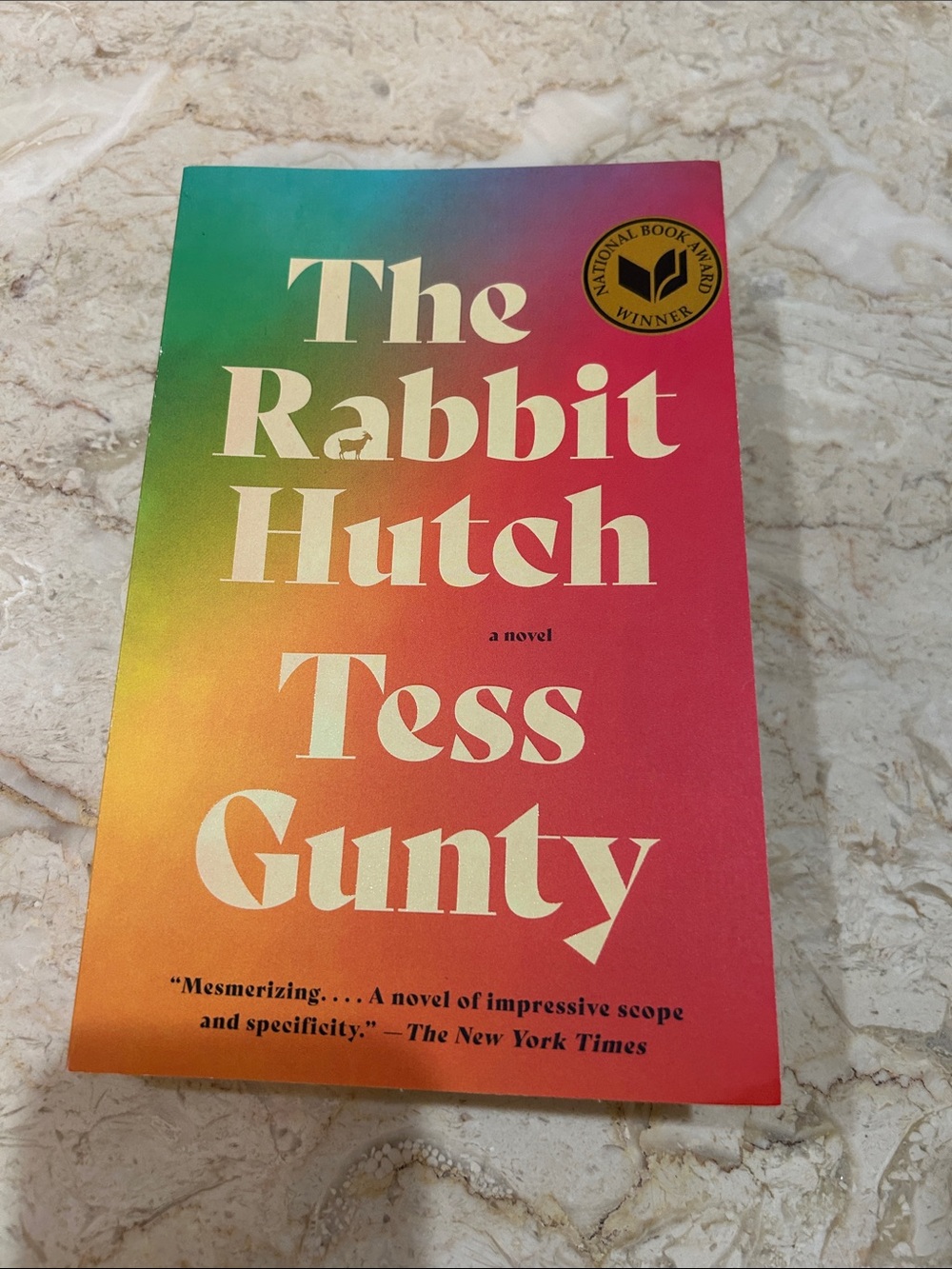 The Rabbit Hutch by - Multicolor Paperback Novel